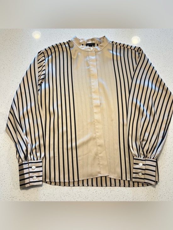 Ann Taylor Tops - Ann Taylor Beige and Black Striped Dress Shirt